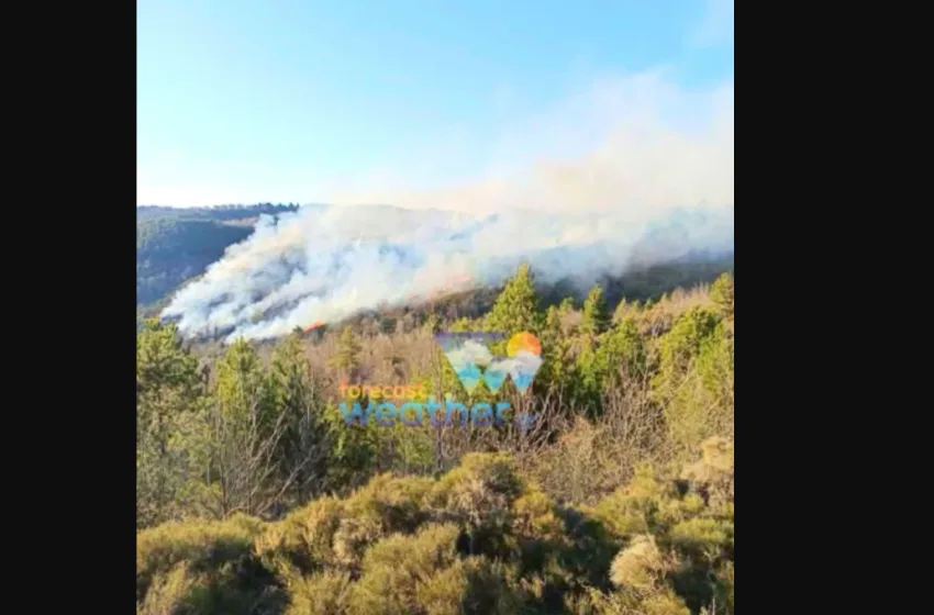  Φωτιά στις Καρυές Λακωνίας- Μεγάλη κινητοποίηση της πυροσβεστικής