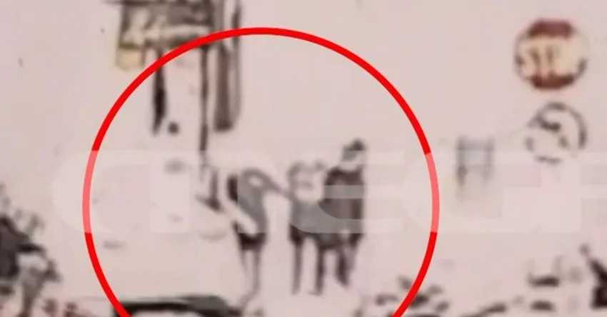  Πάτρα: Βίντεο από τη σύλληψη του 89χρονου-Είχε πάρει άδεια οπλοφορίας όταν ήταν 81ενος ετών