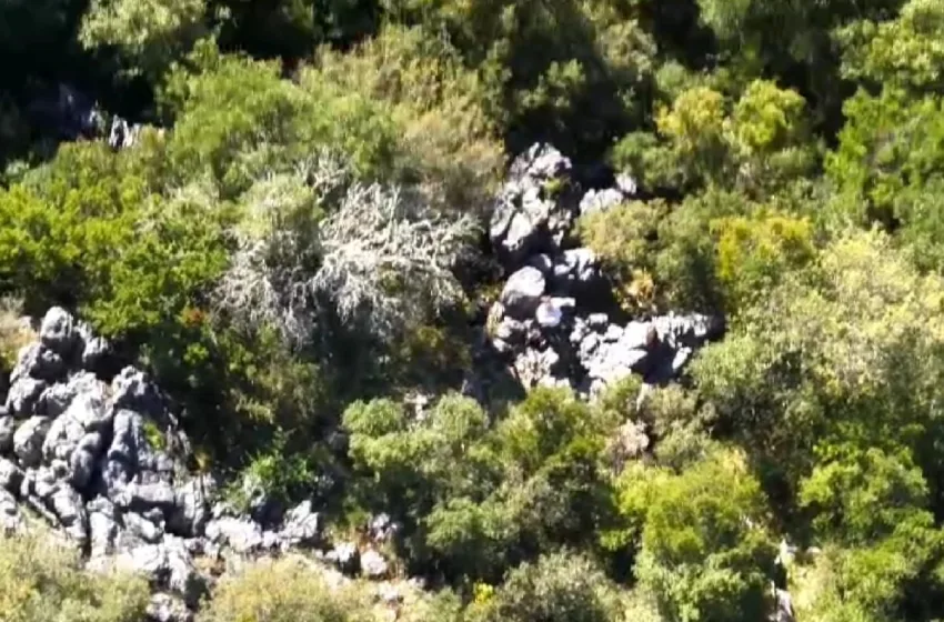  Κέρκυρα: Η στιγμή που drone της Πυροσβεστικής εντοπίζει δύο περιπατητές που χάθηκαν σε δάσος (vid)