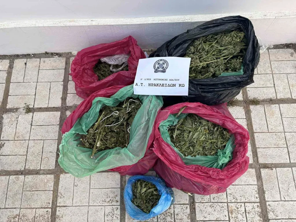 Κως: Κατασχέθηκαν 78 δενδρύλλια και 7 κιλά κάνναβης 6 4 5