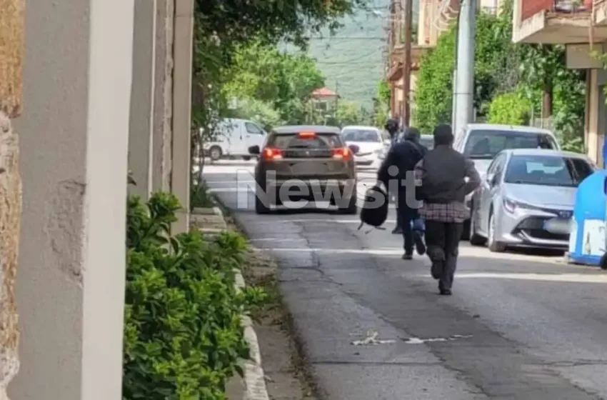  Ληστεία Τράπεζας στην Τιθορέα: Συνελήφθησαν έξι άνδρες και δύο γυναίκες ως δράστες