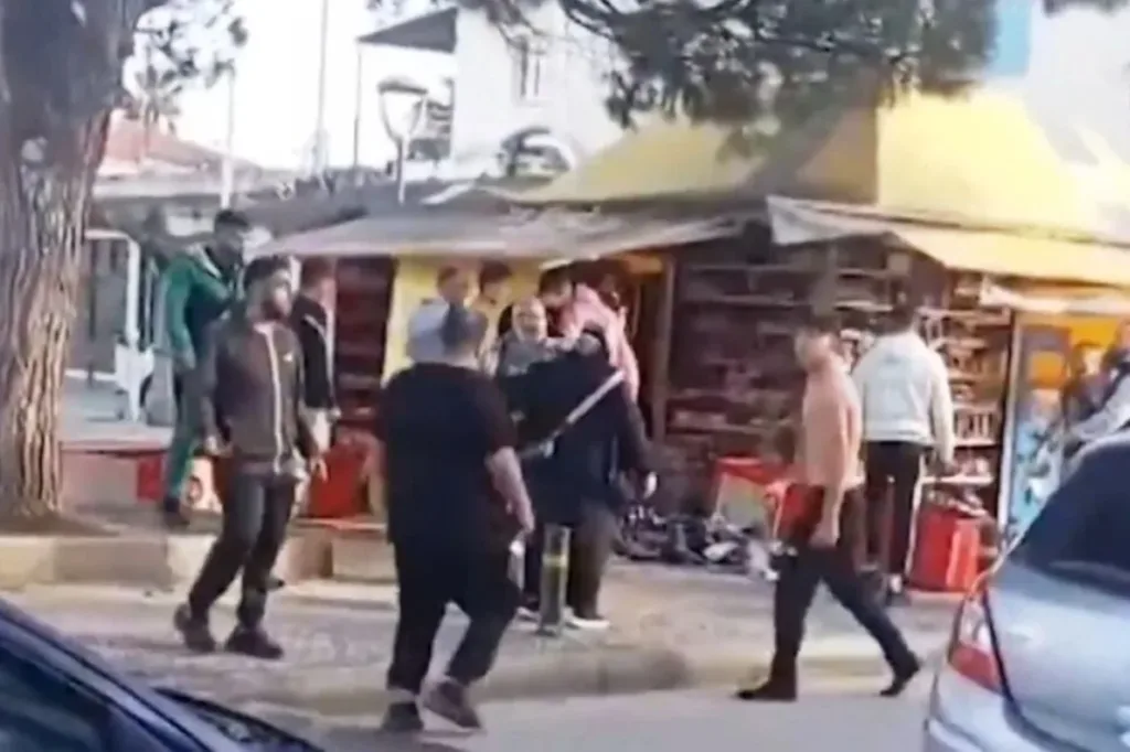 gastouni periptero epithesi xrwma.jpg