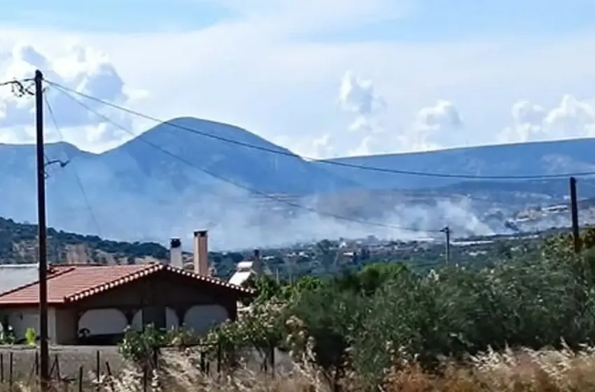  Συναγερμός για φωτιά στα Καλύβια- Μεγάλη κινητοποίηση, ισχυροί άνεμοι (vid)