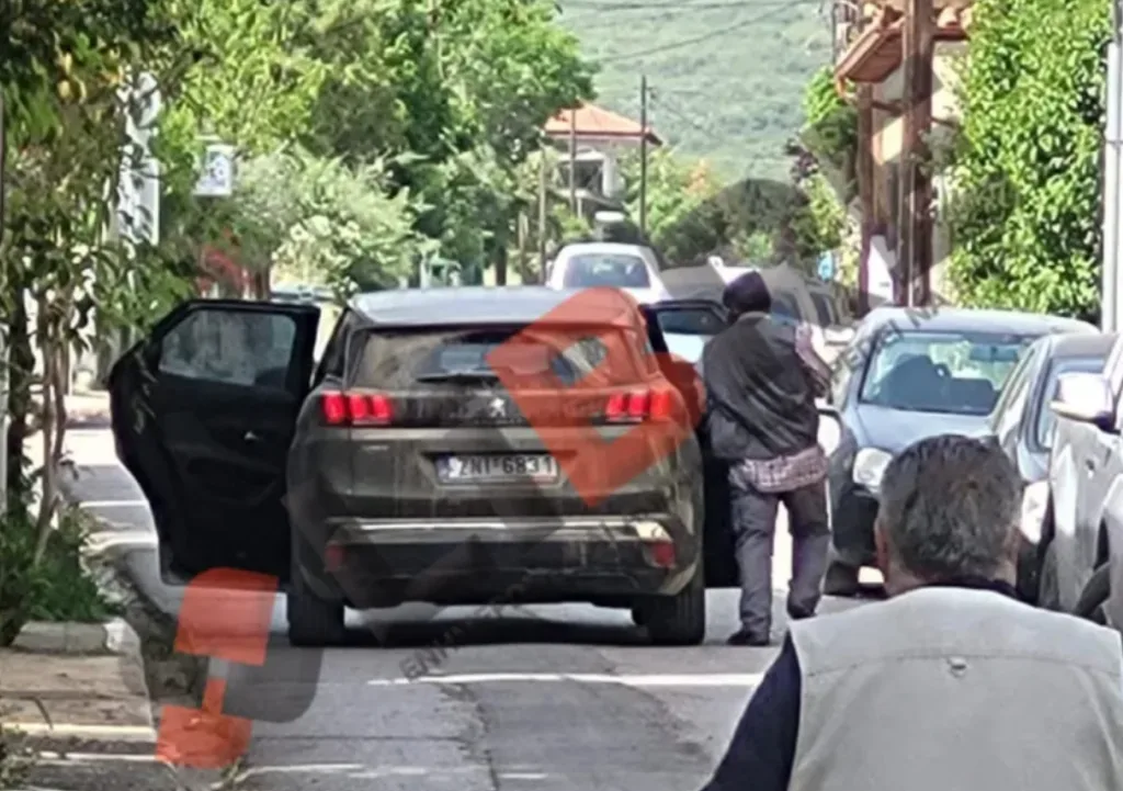 listeia tithorea2