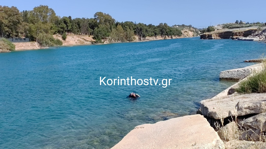 posidonia 3