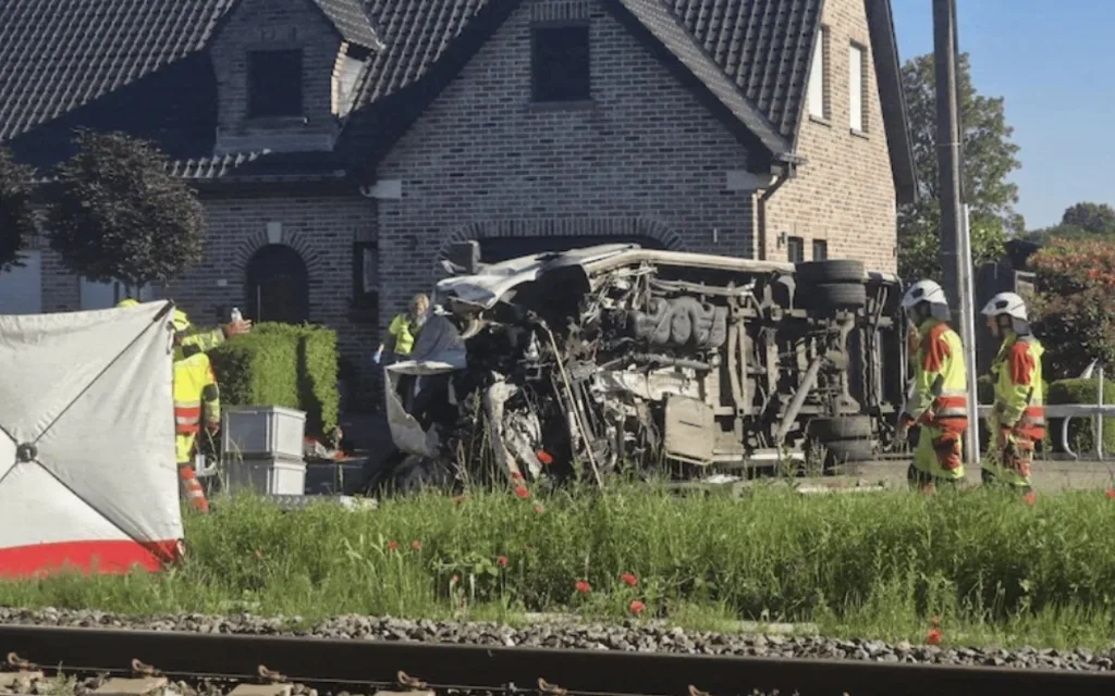 velgio treno sholiko