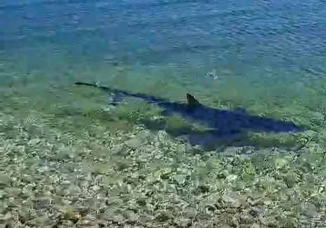 Στιγμιότυπο οθόνης 2026 05 26 164221