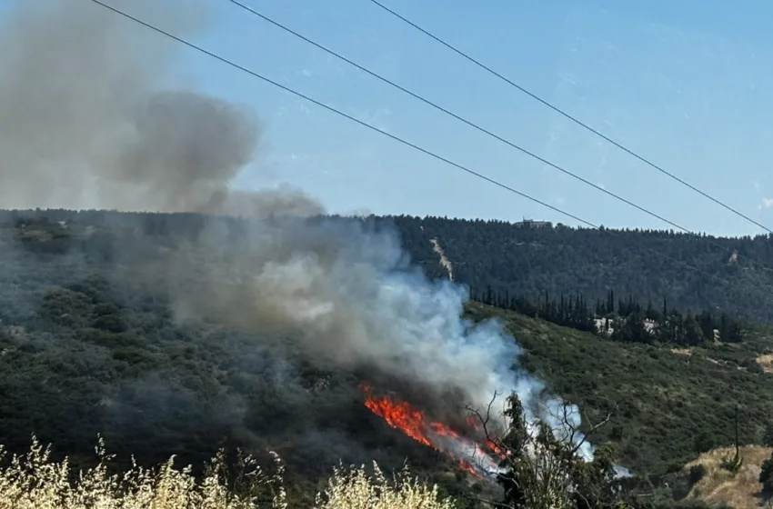  Θεσσαλονίκη: Κάηκαν 22 στρέμματα δασικής έκτασησης από την φωτιά στο Φίλυρο