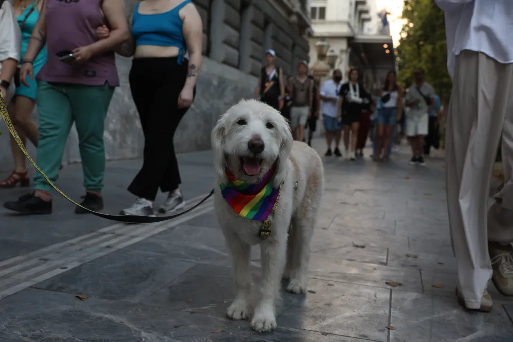 Athens Pride 2026:Μηνύματα υπερηφάνειας και ισότητας από χιλιάδες κόσμο που συγκεντρώθηκε στο Σύνταγμα 12 6999596