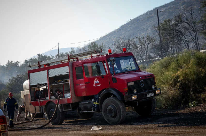  Φωτιά στο Ακραίφνιο: Κάηκαν δεκάδες ζώα σε κτηνοτροφική μονάδα- Βίντεο