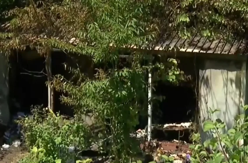  Κόνιτσα-Θάνατος 4 αδελφών: Η τραγωδία ξεκίνησε το 1996, η φονική πυρκαγιά “σφράγισε” το ανθρώπινο δράμα