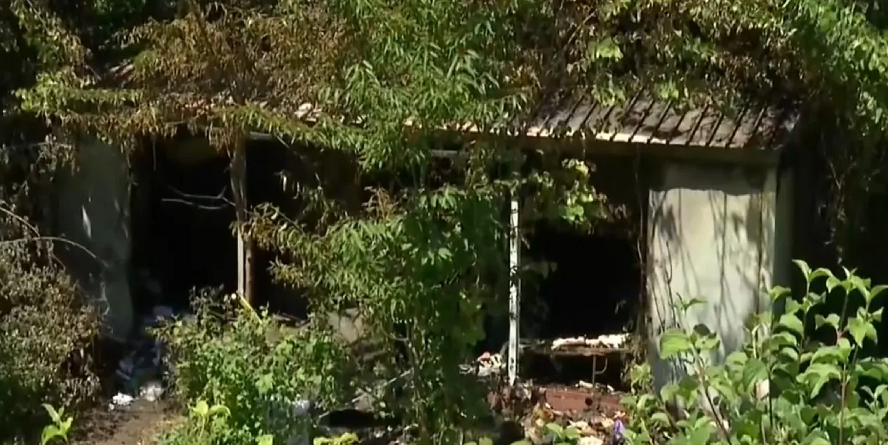 Κόνιτσα-Θάνατος 4 αδελφών: Η τραγωδία ξεκίνησε το 1996, η φονική πυρκαγιά “σφράγισε” το ανθρώπινο δράμα