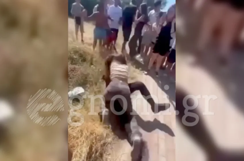  Εύβοια/Μητέρα μαθήτριας: Θα έπαιρνα το παιδί μου στην κάσα έτσι όπως το χτύπαγαν (vid)