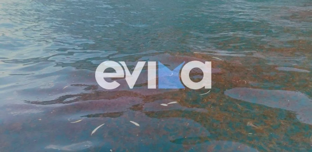 evoia medouses