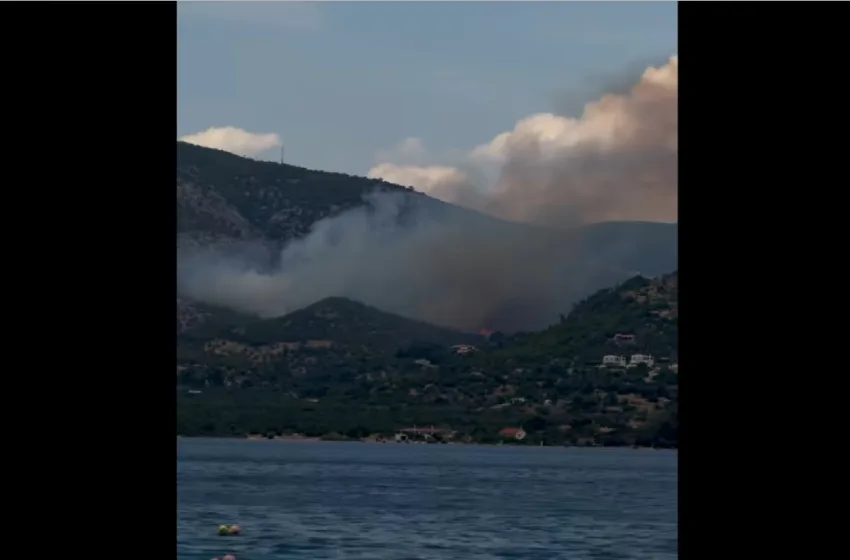  Σε ύφεση η φωτιά στο Λουτράκι: Ξεκίνησε από χλοοκοπτικό- Μεγάλη κινητοποίηση, ήχησε το 112 (vid)