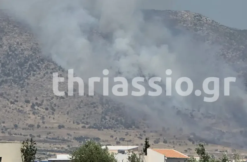  Φωτιά Ασπρόπυργος: Σηκώθηκαν 5 ελικόπτερα- Συμμετέχουν εκατοντάδες πυροσβέστες (vid)