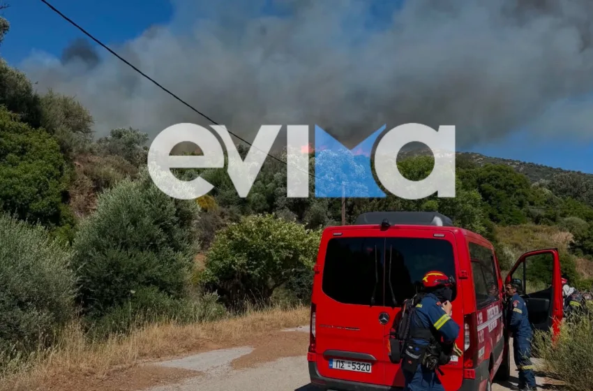  Μεγάλη φωτιά σε περιοχή της Εύβοιας (vid)