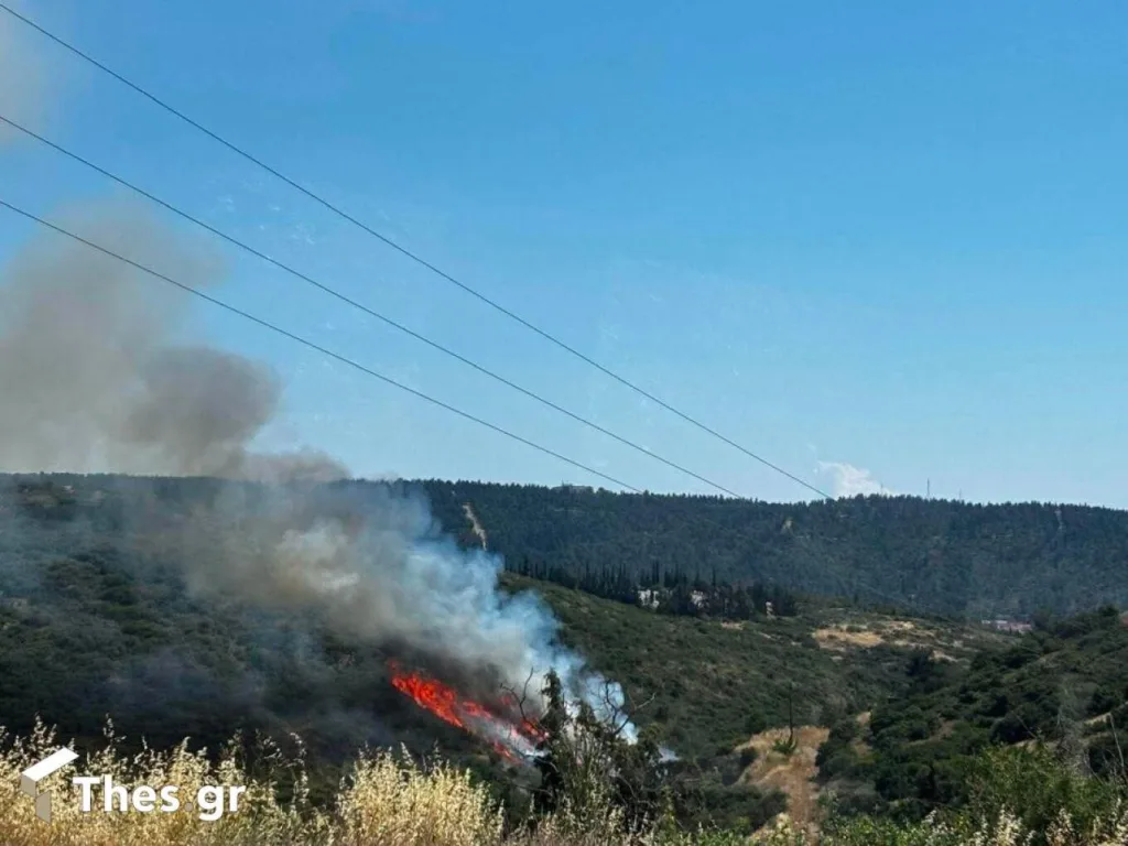 fotia mesa2