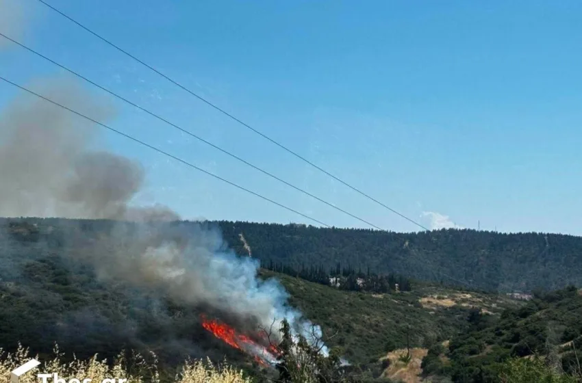  Οριοθετήθηκε η φωτιά στα Πεύκα Θεσσαλονίκης-  Ήχησε το 112(vid)