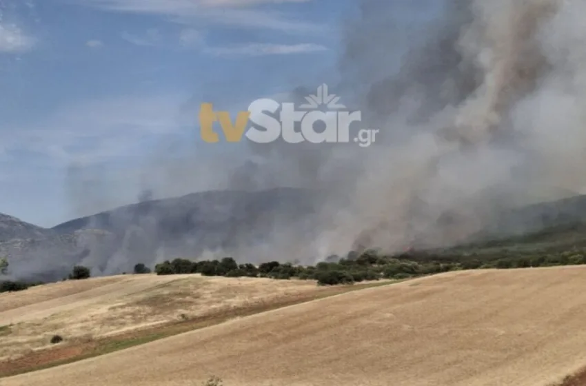  Μεγάλη η φωτιά στον Ορχομενό, ενισχύονται οι δυνάμεις- Επιχειρούν 11 εναέρια