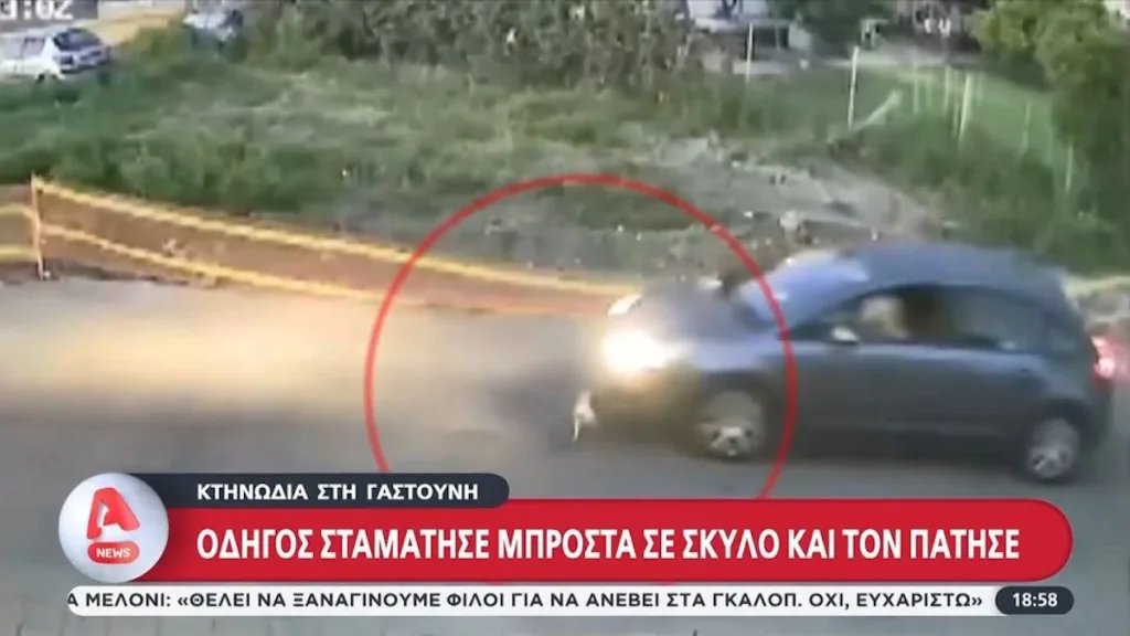 gastouni odigos skylos