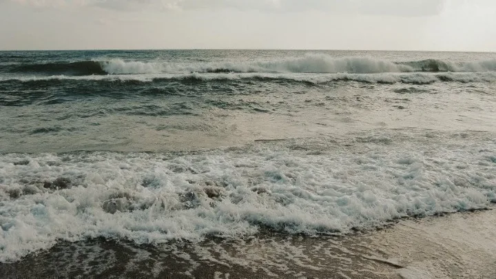 paralia