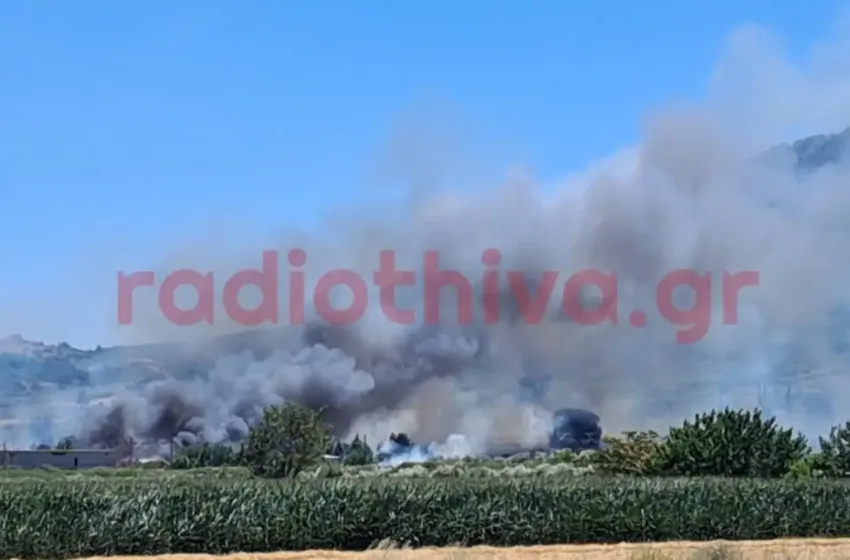  Φωτιά στην Πέτρα Βοιωτίας-Ήχησε το 112: “Απομακρυνθείτε προς Λιβαδειά”