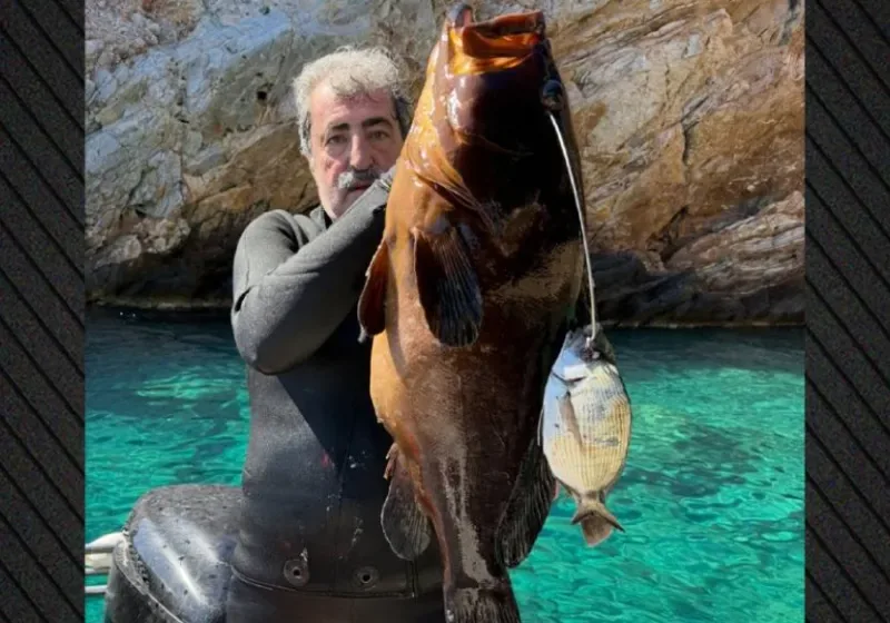  Πολάκης: “Εμείς δεν ψαρεύουμε σε θολά νερά”-Αιχμηρή ανάρτηση με ροφό 13,5 κιλών