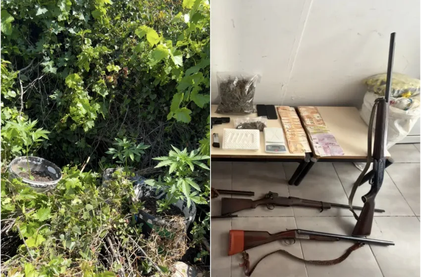  Αστυνομική επιδρομή σε ορεινή περιοχή στο Ρέθυμνο-Ναρκωτικά, όπλα, χιλιάδες ευρώ σε… οικογενειακή επιχείρηση