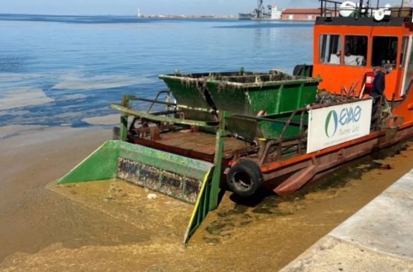  Θεσσαλονίκη: Εκτεταμένο το φαινόμενο της “ερυθράς παλίρροιας”- Δυσοσμία στην πόλη