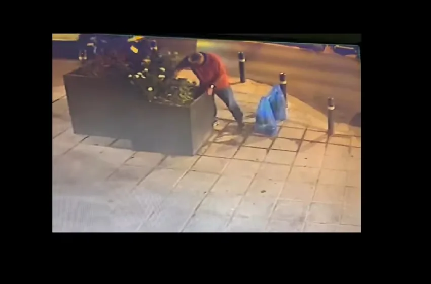  Άνδρας ξεριζώνει τριανταφυλλιές που φύτεψε ο Δήμος-Βίντεο κατέγραψε τον βανδαλισμό