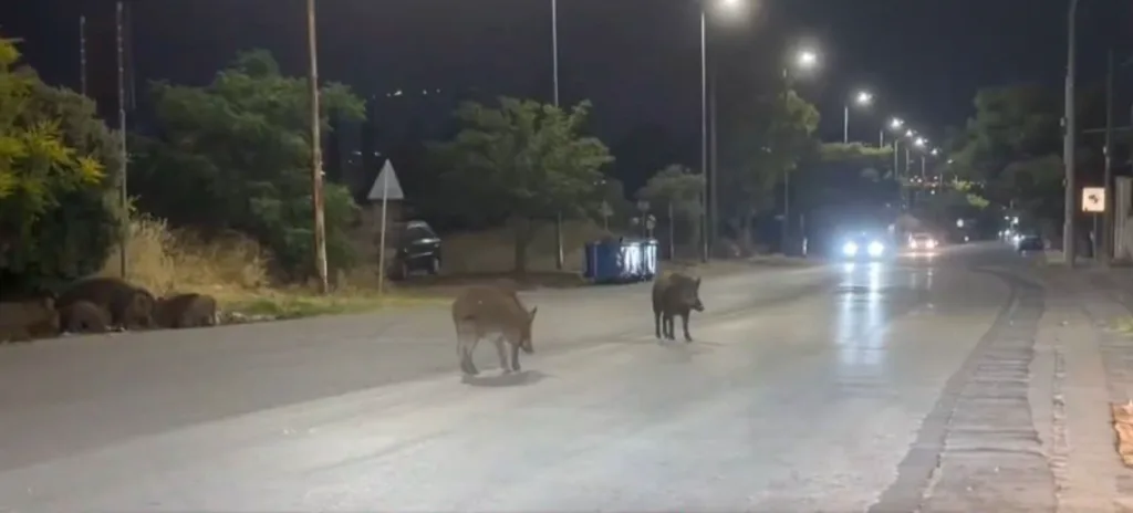 Στιγμιότυπο οθόνης 2026 06 11 211603