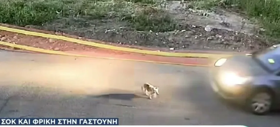 Στιγμιότυπο οθόνης 2026 06 21 124017