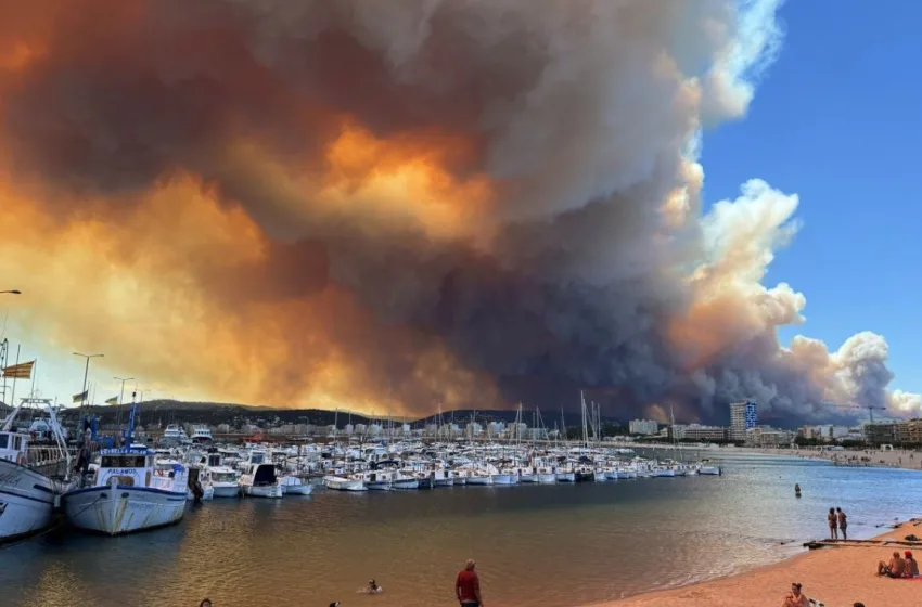  Πορτογαλία: Κάηκαν πάνω από 100.000 στρέμματα–Στη μάχη 1.100 πυροσβέστες (vid)