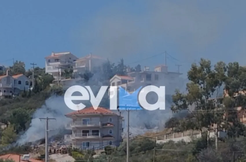  Έσβησε η φωτιά στην Ακτή Νηρέως στην Εύβοια (vid)
