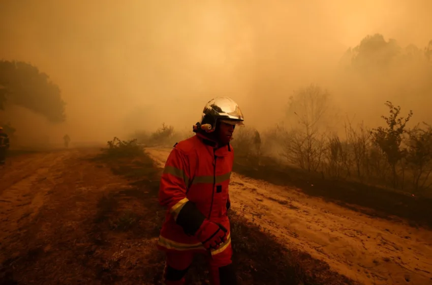  Κόλαση φωτιάς σε Μαδρίτη και νότια Γαλλία–200.000 πολίτες εγκατέλειψαν τις εστίες τους (vid)