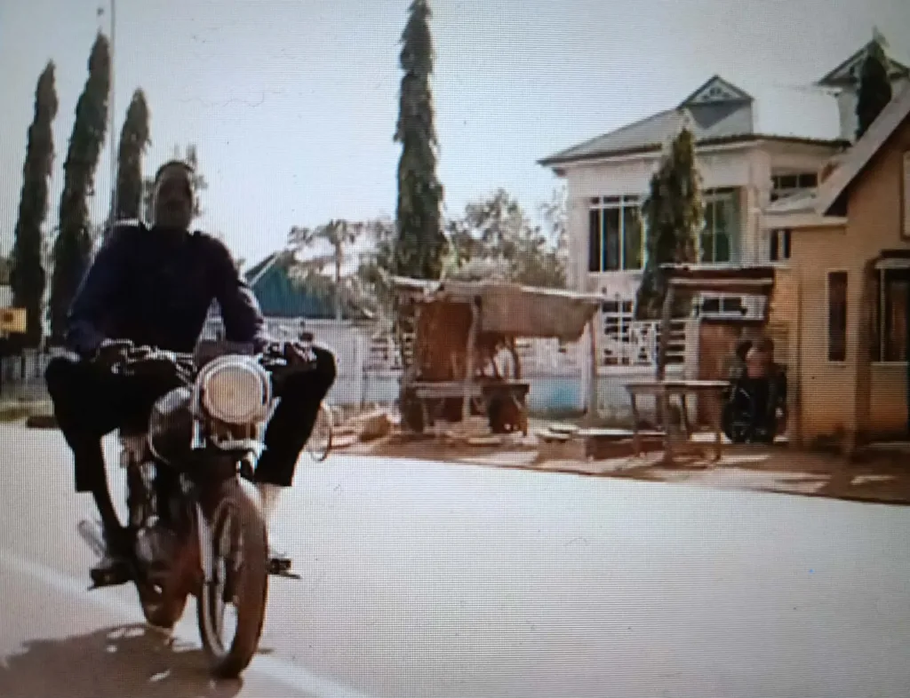 Ghana gigandas e1785271730323
