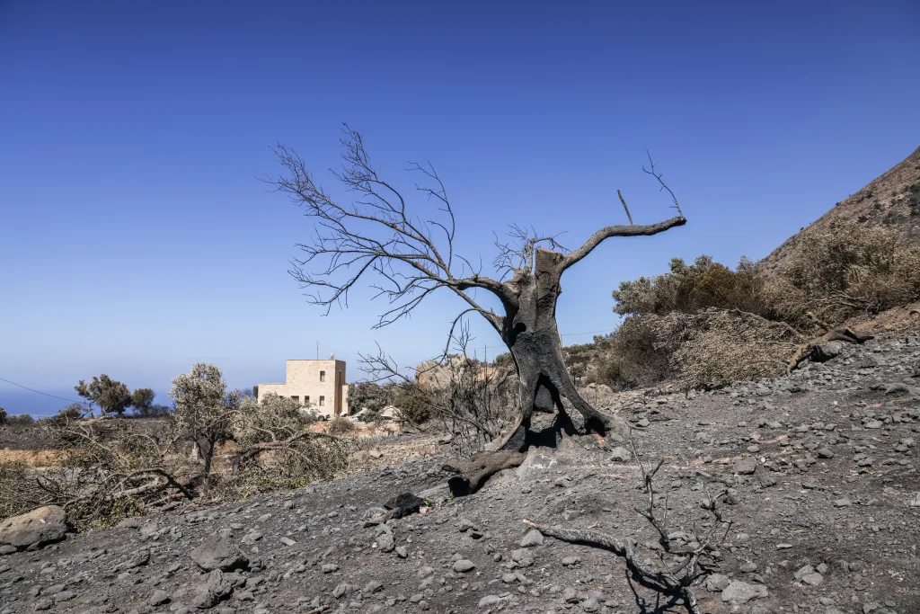 Σκηνικό κόλασης στη Βοιωτία -Οι φλόγες κοντά στο Πόρτο Γερμενό - Δίωξη σε στέλεχος του ΔΕΔΔΗΕ- Αρνείται τις κατηγορίες 7 RETHYMNO FOTIA