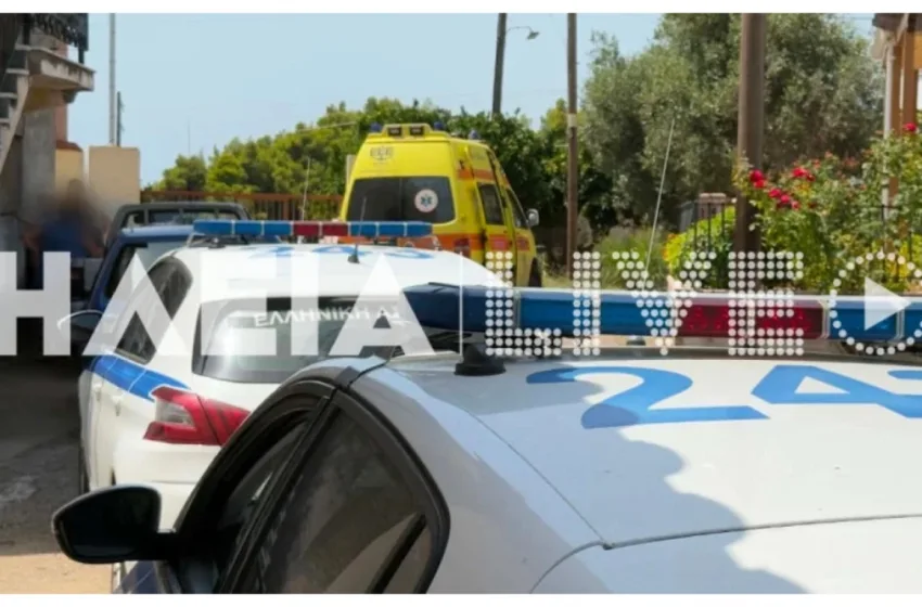  Ηλεία: Νεκρός 63χρονος μετά από ατύχημα με αλυσοπρίονο