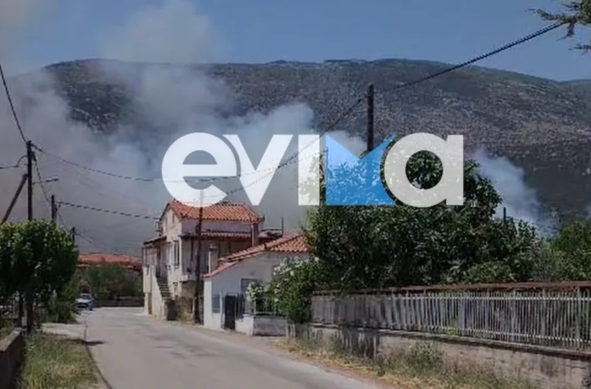  Εύβοια: Οριοθετήθηκε η φωτιά στην Επισκοπή- Απειλήθηκαν σπίτια, στάλθηκε 112 για εκκένωση
