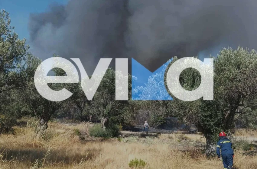  Φωτιά σε δάσος στα Πολιτικά Εύβοιας- Σηκώθηκαν και εναέρια
