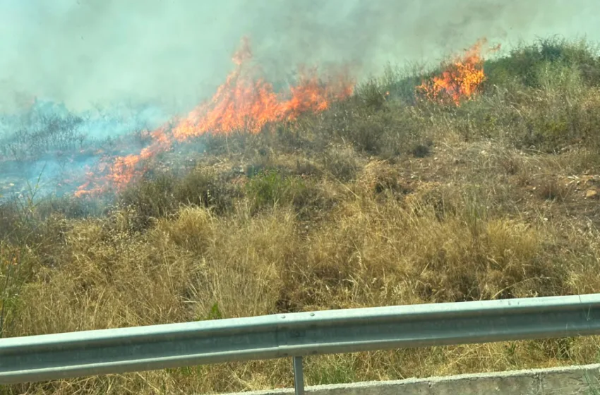 Φωτιά κοντά στα διόδια των Αφιδνών
