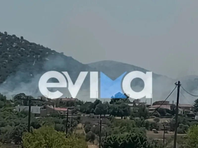 fotia evoia