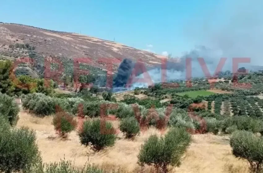  Φωτιά στην Κνωσό – Εκκενώθηκε ο αρχαιολογικός χώρος