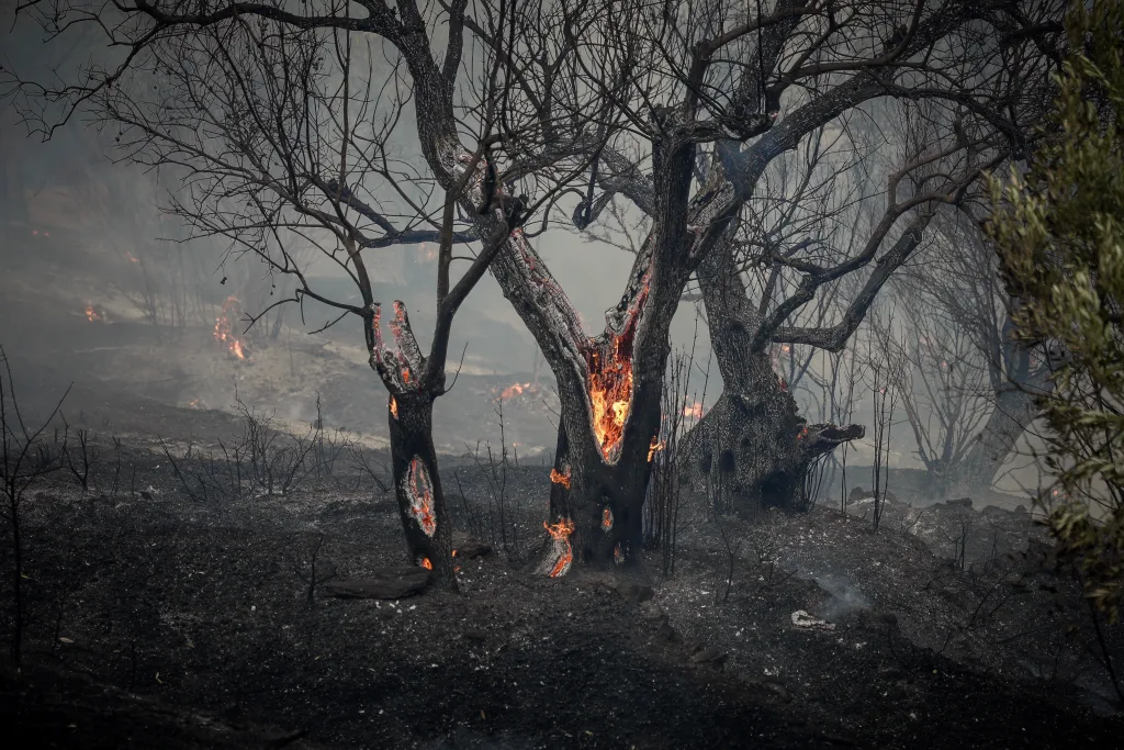 fotia lesvos