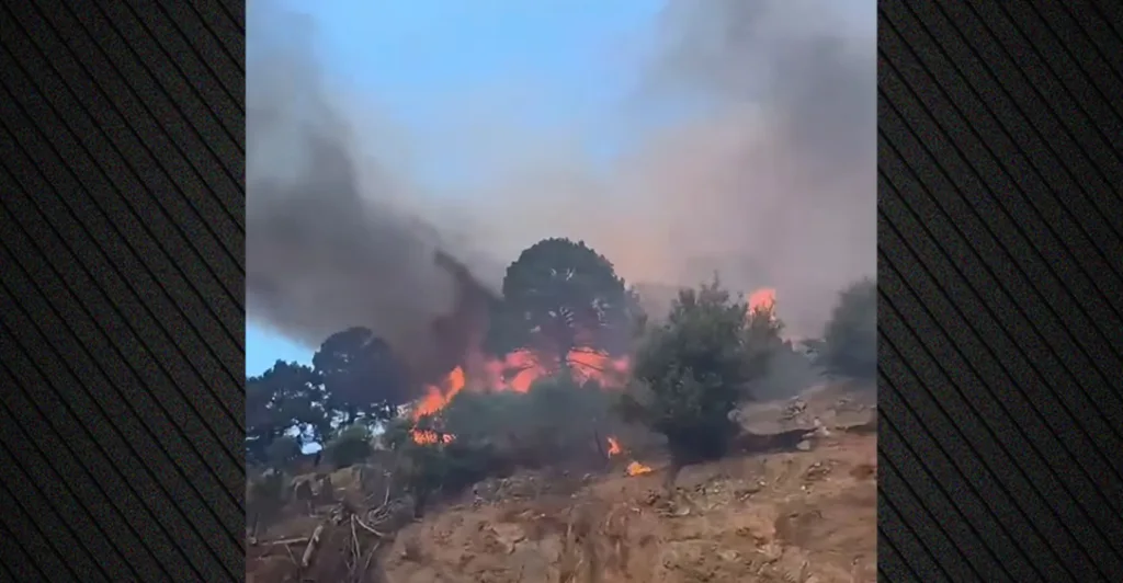 fotia plwmari lesvos