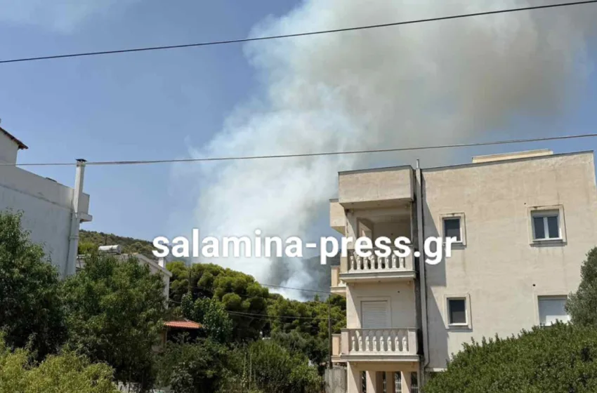  Οριοθετήθηκε η φωτιά στη Σαλαμίνα: Έκαιγε κοντά σε σπίτια, πολίτες απομακρύνθηκαν προς παραλία