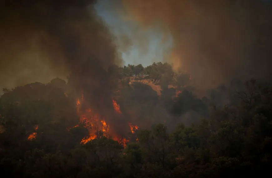 Ενότητα Ειδήσεις κάτω (οριζόντιο-3) 9 Φωτιά στην Άνω Περαία Θεσσαλονίκης, 112 για ετοιμότητα