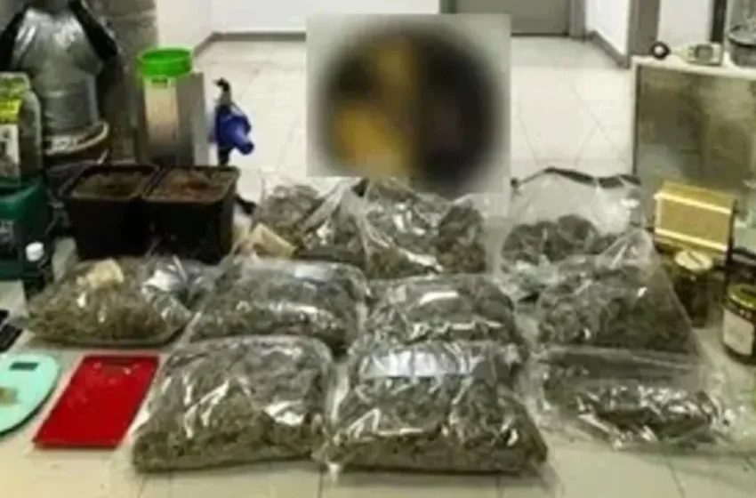  Κινέτα: Εξαρθρώθηκε κύκλωμα ναρκωτικών- Εντοπίστηκε εργαστήριο κάνναβης
