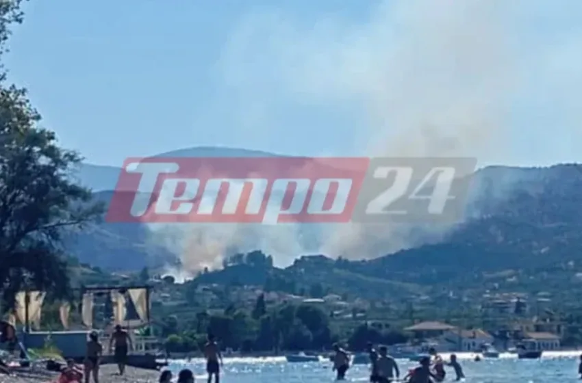  Φωτιά στις Νεραντζιές Αιγιαλείας στην Αχαΐα- 112 για ετοιμότητα